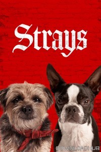 Strays (2023) ORG Hindi Dubbed Movie