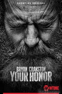 Your Honor (2020) Hindi Dubbed Season 1 Complete Web Series